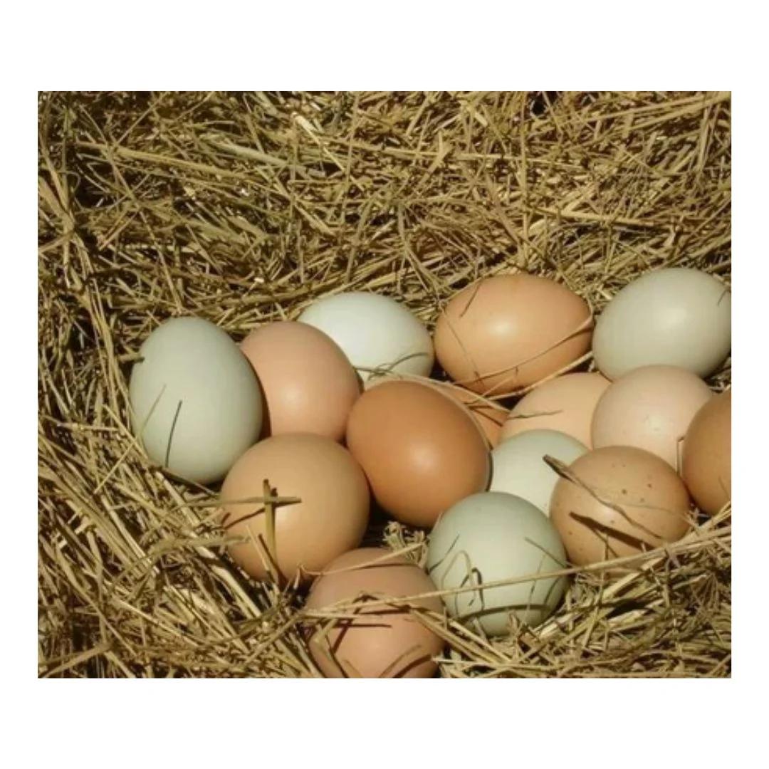 100% Organic Desi Egg Offer